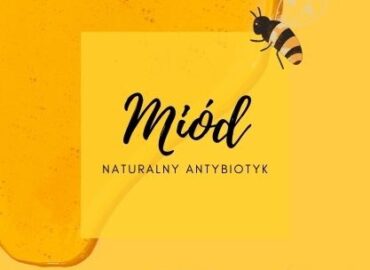 Miód – naturalny antybiotyk